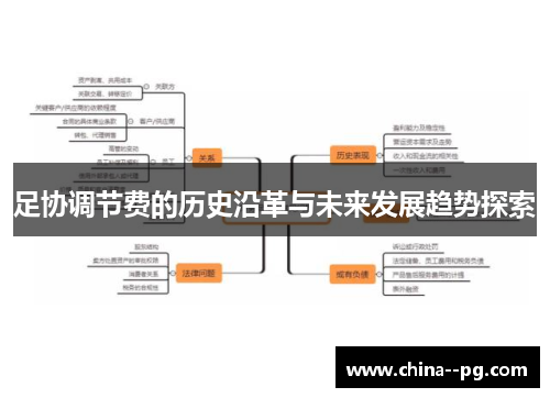 足协调节费的历史沿革与未来发展趋势探索